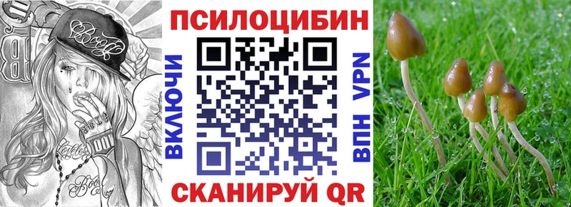 цены Гороховец mega Галлюциногенные грибы прущие грибы